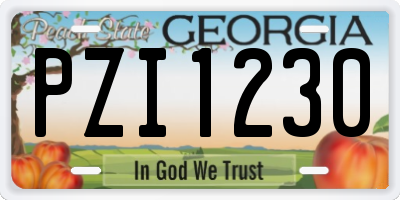 GA license plate PZI1230