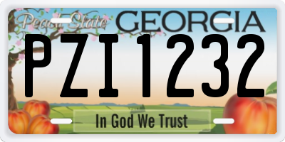 GA license plate PZI1232
