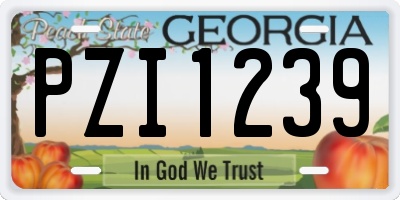 GA license plate PZI1239