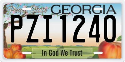 GA license plate PZI1240