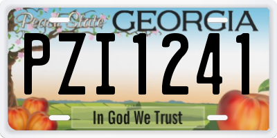 GA license plate PZI1241