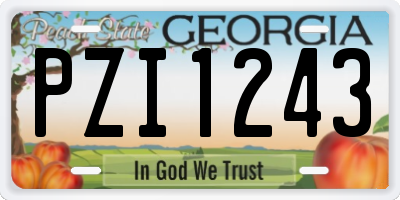 GA license plate PZI1243