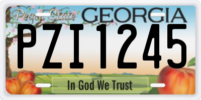 GA license plate PZI1245