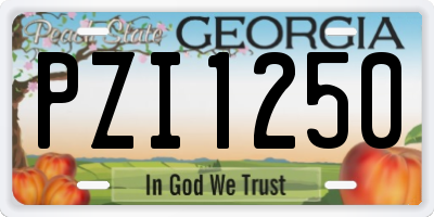 GA license plate PZI1250
