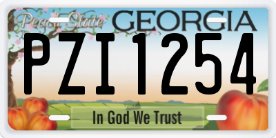 GA license plate PZI1254