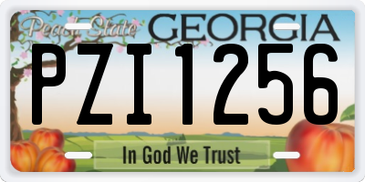 GA license plate PZI1256