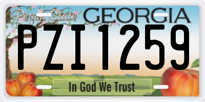 GA license plate PZI1259