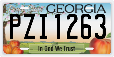 GA license plate PZI1263
