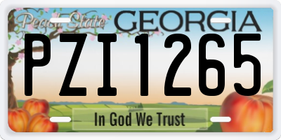 GA license plate PZI1265