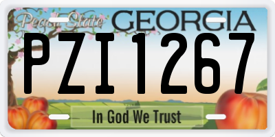 GA license plate PZI1267