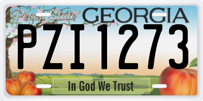 GA license plate PZI1273