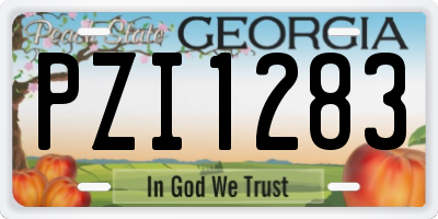 GA license plate PZI1283