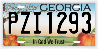 GA license plate PZI1293