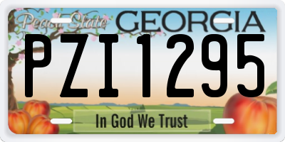 GA license plate PZI1295