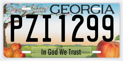 GA license plate PZI1299