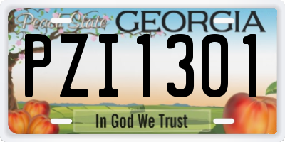 GA license plate PZI1301