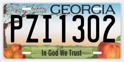 GA license plate PZI1302