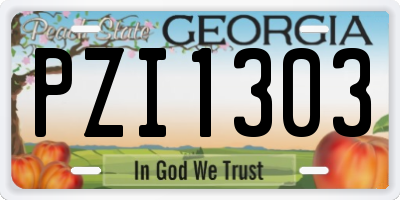 GA license plate PZI1303