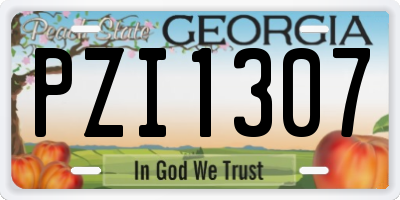GA license plate PZI1307