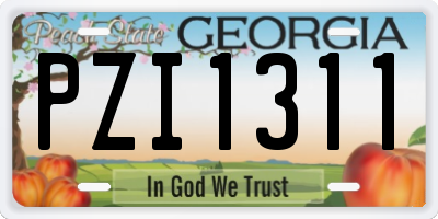 GA license plate PZI1311