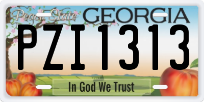 GA license plate PZI1313