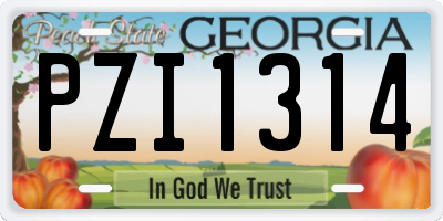GA license plate PZI1314