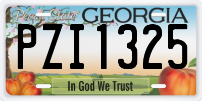 GA license plate PZI1325