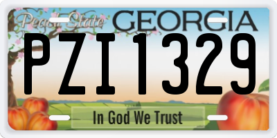 GA license plate PZI1329