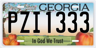 GA license plate PZI1333