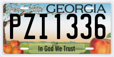 GA license plate PZI1336
