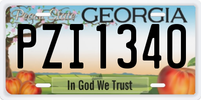GA license plate PZI1340