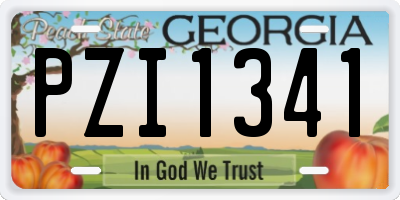 GA license plate PZI1341