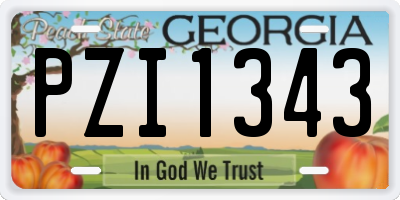 GA license plate PZI1343