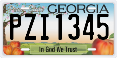 GA license plate PZI1345