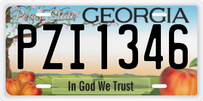 GA license plate PZI1346