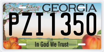 GA license plate PZI1350