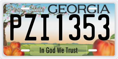 GA license plate PZI1353