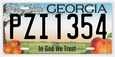 GA license plate PZI1354