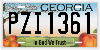 GA license plate PZI1361