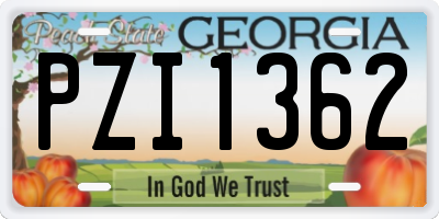 GA license plate PZI1362