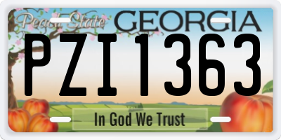 GA license plate PZI1363