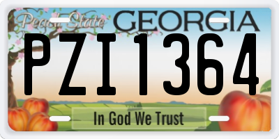 GA license plate PZI1364