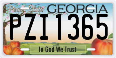 GA license plate PZI1365