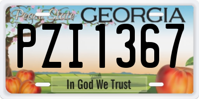 GA license plate PZI1367