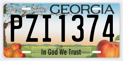 GA license plate PZI1374