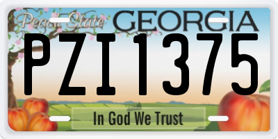 GA license plate PZI1375
