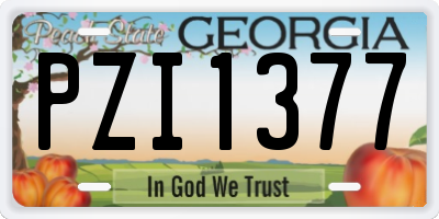 GA license plate PZI1377