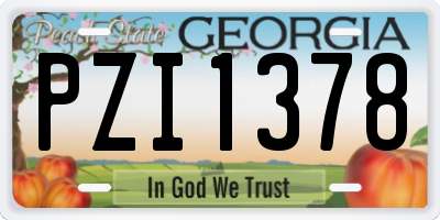 GA license plate PZI1378