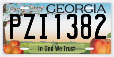 GA license plate PZI1382