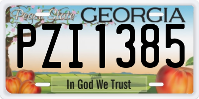 GA license plate PZI1385